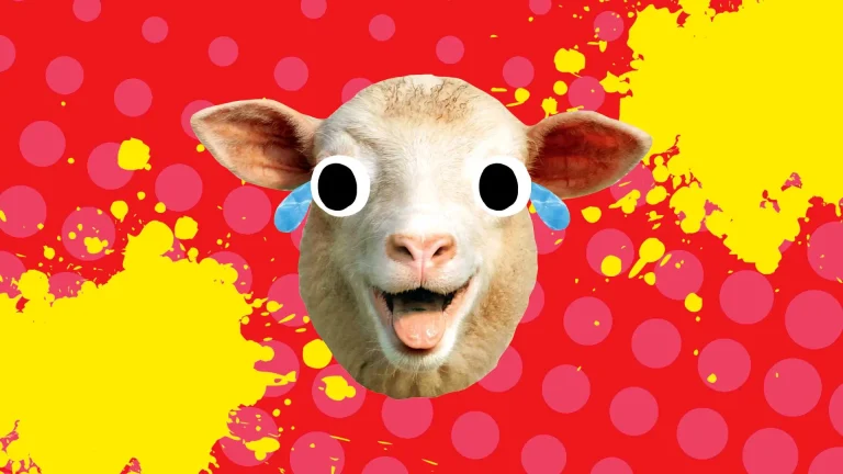 Get Your Flock On: A Comprehensive Guide to Sheep Puns